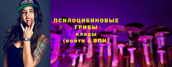 амф Аркадак