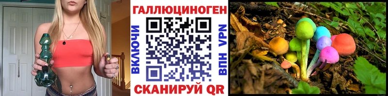 Псилоцибиновые грибы Psilocybe Верещагино