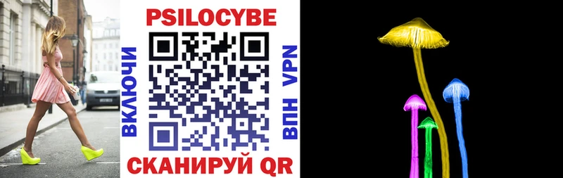 Псилоцибиновые грибы Psilocybe  Верещагино 